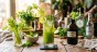 Recette de Cocktail Céleri et Menthe